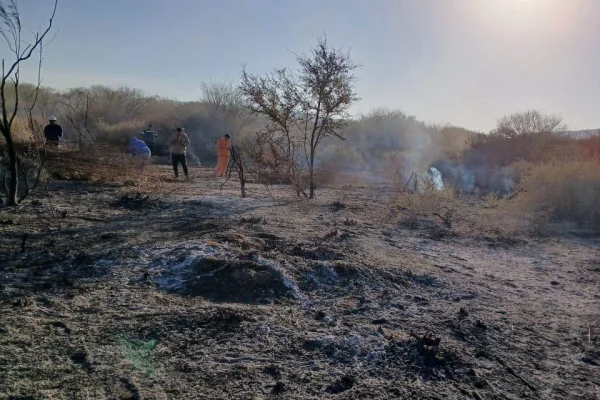 Se extinguió el incendio forestal en el Dique de Portezuelo