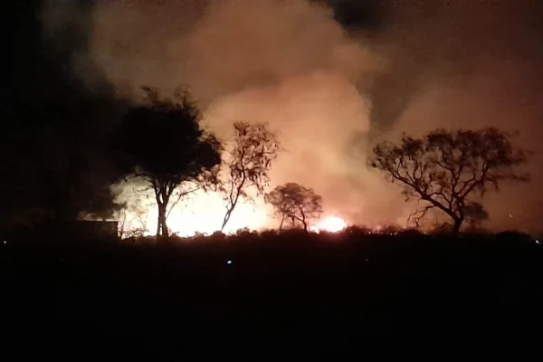 El Gobierno anunció multas y penas de cárcel por incendios