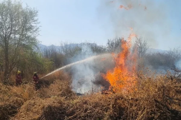 Se exitiguieron diversos incendios en la ciudad