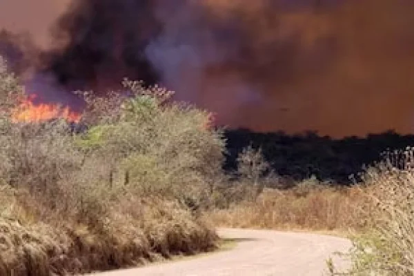 Incendios: la oposición aprobó en el Senado la emergencia ambiental en Córdoba por 180 días