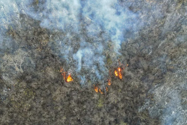 El incendio forestal en el Cordón del Velasco permanece activo