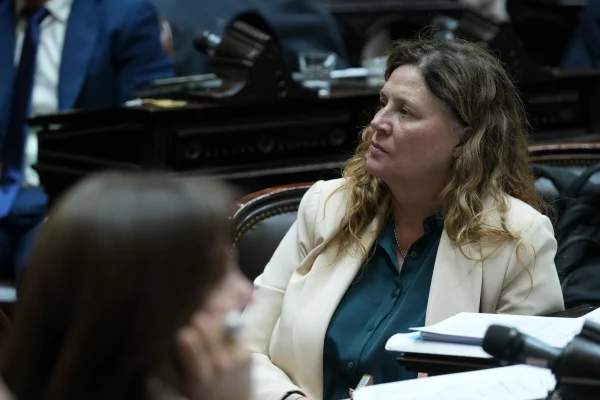 La diputada Gabriela Pedrali cuestionó la aprobación de la Boleta Única de Papel