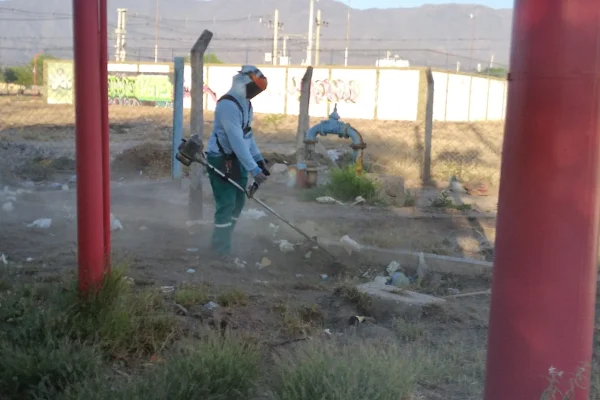 Manzanas saludables continúa trabajando en la prevención del dengue