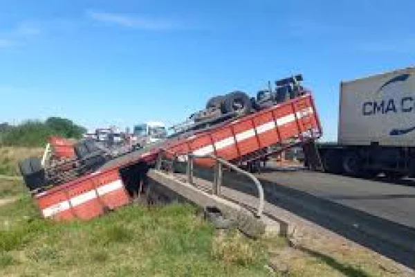 Volcó un camión jaula en San Pedro y vecinos carnearon las vacas en plena ruta 9