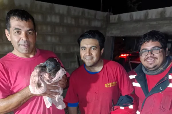 Bomberos rescataron cachorro que cayó en un pozo ciego