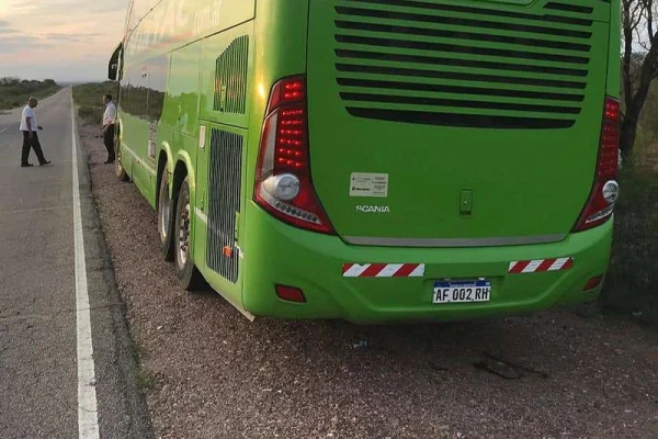 Un niño fue atropellado tras bajarse de un colectivo en la ruta 29