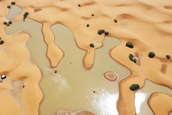 El desierto del Sahara se inundó por primera vez en 50 años