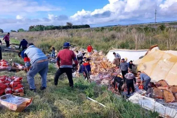 Volcó un camión con pollos en la ruta y la gente saqueó la mercadería