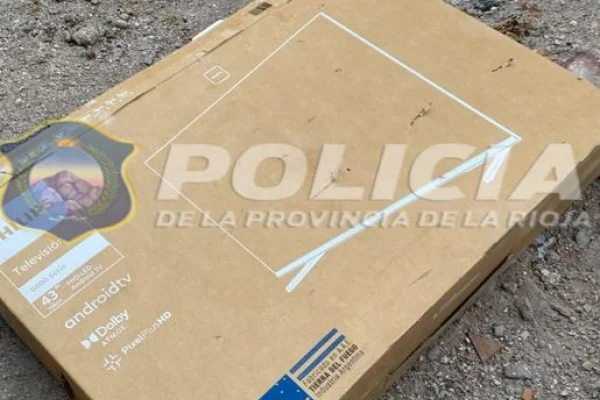 Una mujer robó un televisor y terminó detenida