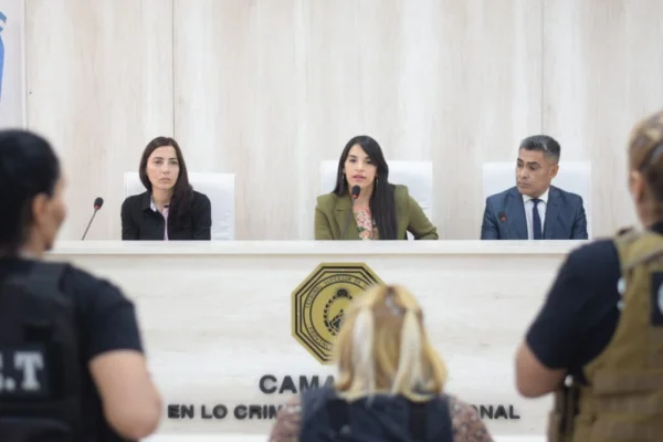 Caso Zoe: llegó a su fin la ronda de testimoniales