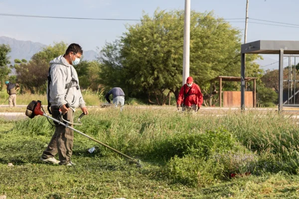 Barrios de zona sur: el municipio avanza con operativos integrales