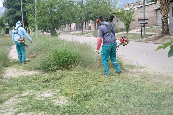 Continúa la prevención del Dengue en Zona Este