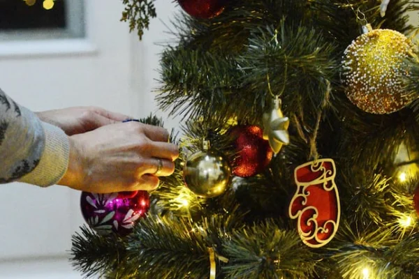 Armar el árbol de Navidad será 300% más caro que el año pasado