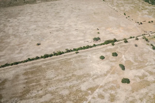 Declaran la emergencia agropecuaria en Santa Fe por la sequía