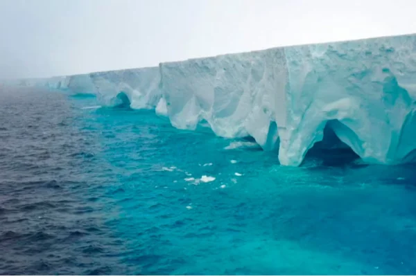 El iceberg más grande del mundo se acerca a las Islas Georgias del Sur y Prefectura monitorea su recorrido