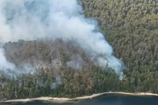 Incendios en Bariloche: trabajan casi 100 brigadistas para socavar el fuego