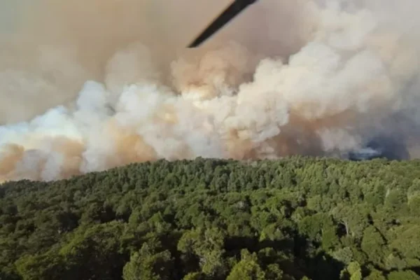 Incendio en el Parque Nacional Nahuel Huapi: ya se consumieron más de 1.800 hectáreas