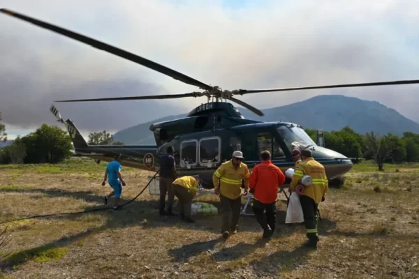 Incendios en el Parque Nacional Huapi: Larsen destacó que 