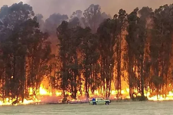 Tandil en alerta por un devastador incendio forestal