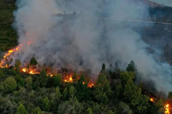 Incendio en Bariloche: llegaron las lluvias, pero se esperan ráfagas de viento para las próximas horas