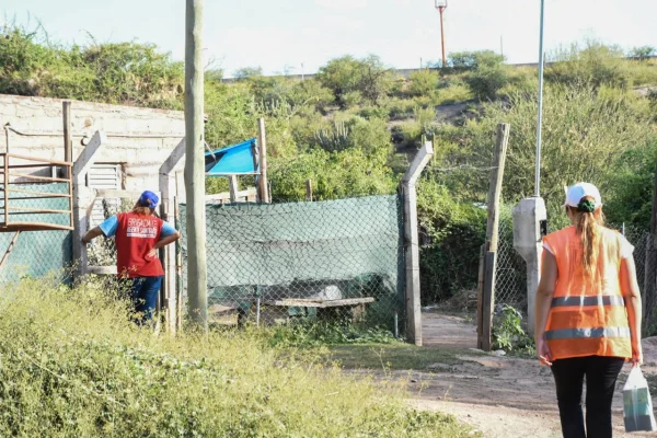 Sigue el arduo trabajo contra el virus del Dengue