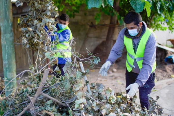 Confirman un nuevo caso de dengue en Capital