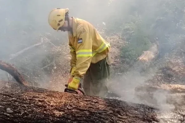 Peligro extremo de nuevos incendios en la Patagonia