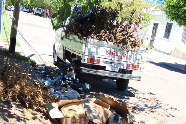 Siguen las acciones contra el Dengue en la Capital