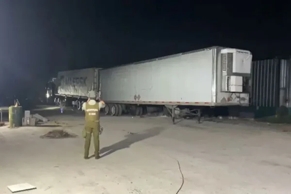 Carabineros detuvieron a 29 delincuentes que robaron 45 toneladas de carne a un camionero argentino