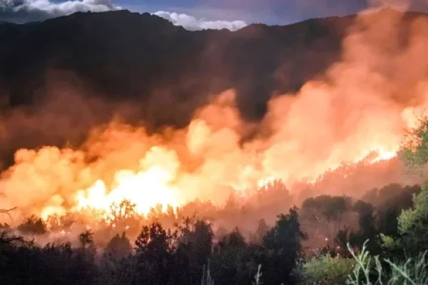 Incendios en El Bolsón: un hombre fue detenido por la provocación de un foco ígneo