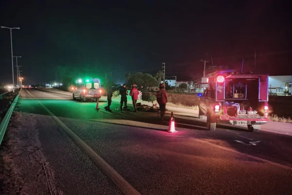 Motociclista chocó con un equino y sufrió varias lesiones