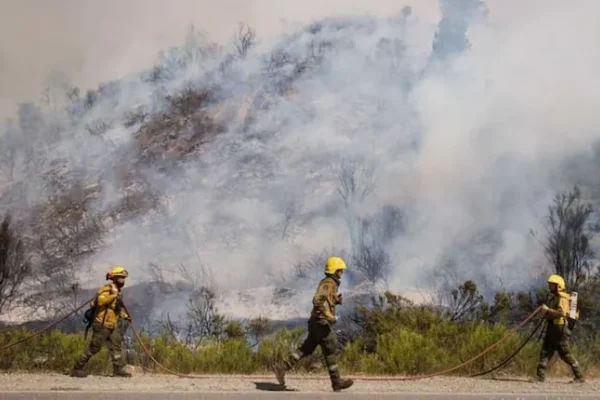 Patagonia: liberaron a seis acusados de iniciar los incendios en El Bolsón