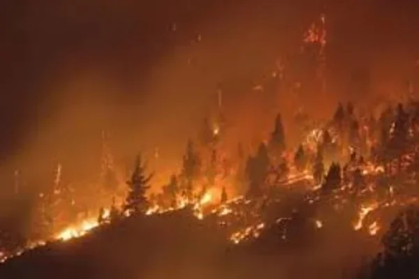 Ingresó al Congreso el proyecto que agrava penas para quienes causen incendios y otros delitos relacionados