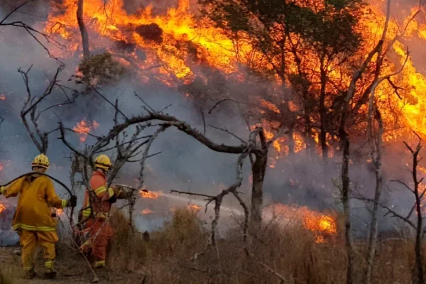 Protestas en la Patagonia por incendios: críticas a la gestión y detención de activistas mapuches