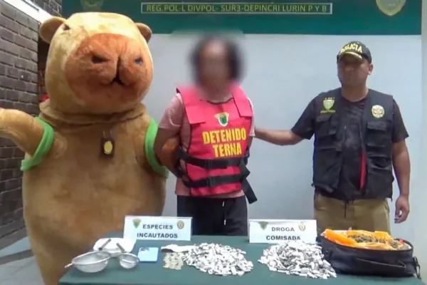 Un muñeco carpincho gigante detuvo a un narco con gran cantidad de drogas