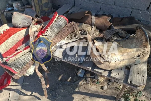 Recuperaron equipamiento de caballos en Ruta 25