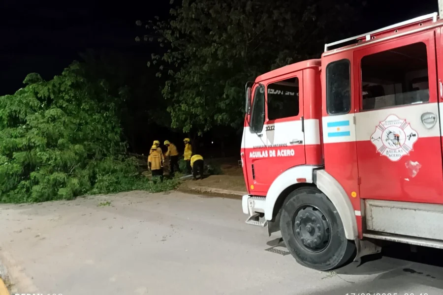 Consecuencias de las últimas precipitaciones.