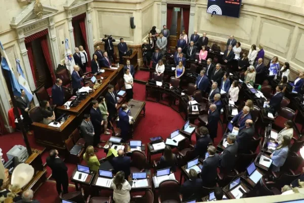 El Senado convirtió en ley la suspensión de las PASO