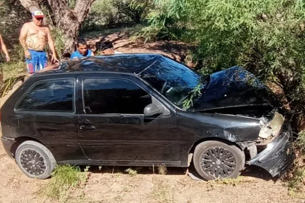 Se olvidó de poner el freno de mano y su auto terminó contra un árbol