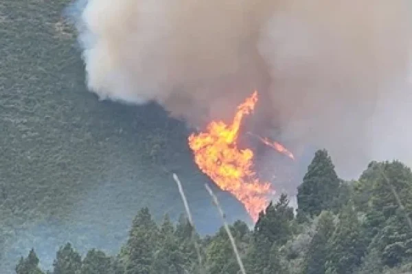 Un hombre admitió haber originado el incendio forestal en el cerro Meta