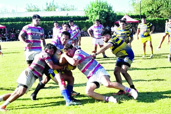 Hurones se quedó con Torneo Americano de CRAR