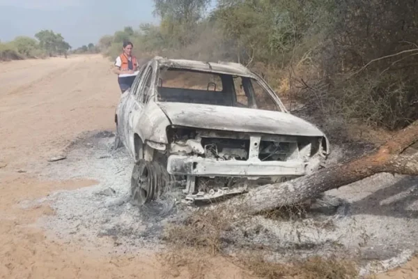 Iba al cementerio, lo picaron las abejas, chocó contra un árbol y murió carbonizado