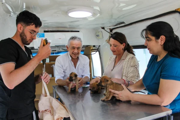 El Municipio realizó operativo de atención pediátrica veterinaria en la Zona Sur