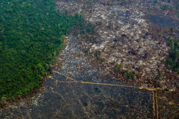 Brasil enfrenta una alarmante reducción de sus reservas de agua dulce