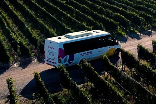 Quien dijo que visitar las bodegas era caro?
