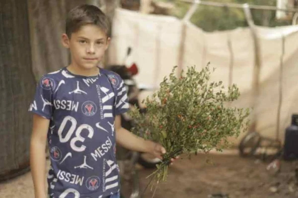 Con 10 años, niño de Malanzán empieza su propio negocio de hierbas medicinales