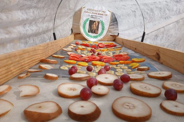Productores se capacitan en secado de frutas