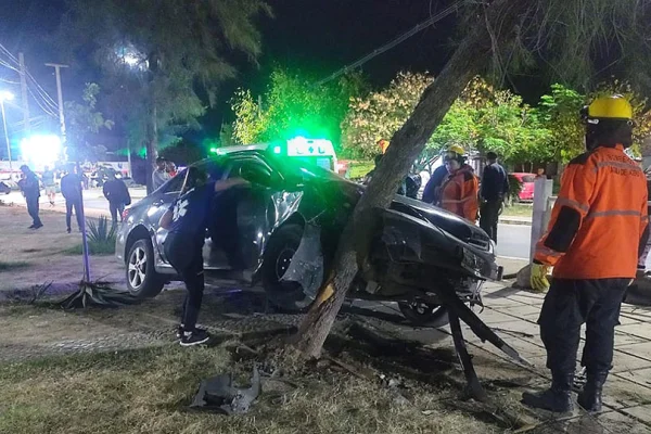 Chocó su auto contra un árbol y se dio a la fuga
