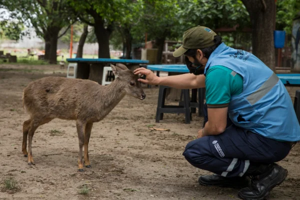 Se estableció el Día de la Fauna Autóctona de La Rioja