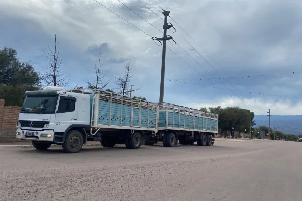 Interceptan camión con animales vacunos y detectan documentación adulterada en Portezuelo